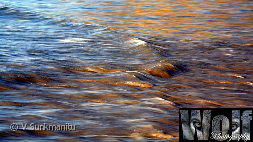 SWM 007 Copyright Villayat Sunkmanitu.jpg